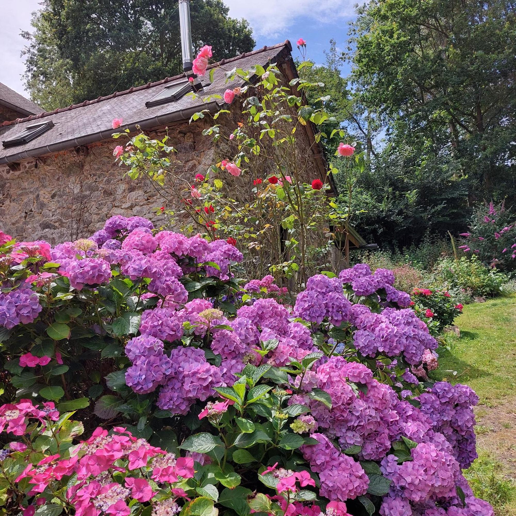 Le Vieux Moulin Bed and Breakfast Goudelin Værelse billede